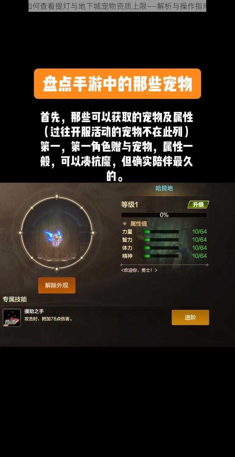 如何查看提灯与地下城宠物资质上限——解析与操作指南