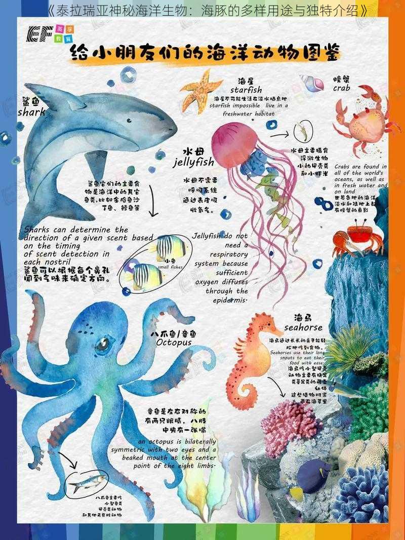 《泰拉瑞亚神秘海洋生物：海豚的多样用途与独特介绍》